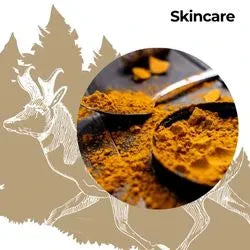 Clean, botanical skincare inspired by the wild forests. Wildfora’s Skincare Collection features natural face mask powders, gentle topical blends, scrub bases and botanical face serums crafted from sustainably sourced plant ingredients.