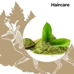 Wildfora’s Hair Care Collection features powdered hair masks, infusion oils, herbal rinse powders and topical blends made from sustainably sourced plant ingredients — crafted for everyday natural hair care routines.