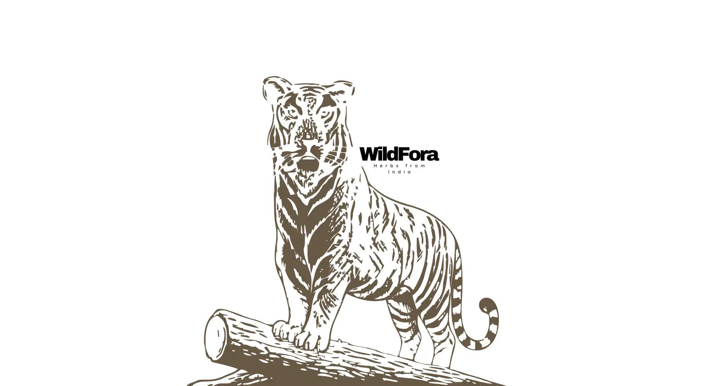 Wildfora home page hero banner featuring natural herbal powders, whole herbs, and forest-inspired organic ingredients